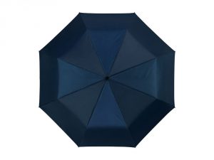 Зонт складной «Alex» арт. 10901606_c