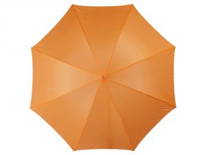 Зонт-трость «Lisa» арт. 10901703_b