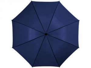 Зонт-трость «Barry» арт. 10905301_b