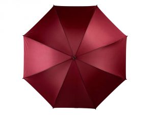 Зонт-трость «Риверсайд» арт. 10906900_b