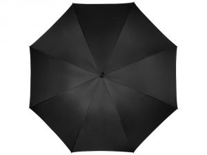 Зонт-трость «Arch» арт. 10907202_b