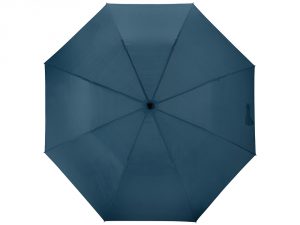 Зонт складной «Андрия» арт. 906152_f