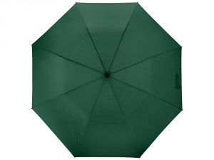 Зонт складной «Андрия» арт. 906153_f