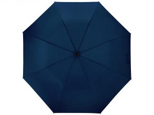 Зонт складной «Андрия» арт. 906154_f
