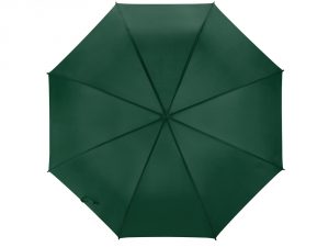 Зонт-трость «Яркость» арт. 907003_d